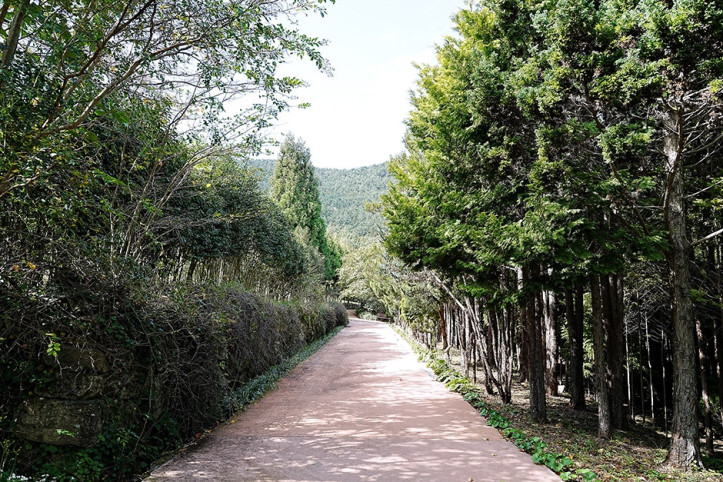 산유골수목공원 여행 추천 - 메고지고