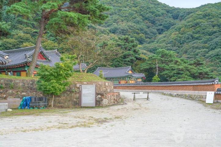 청룡사(김제) 여행 추천 - 메고지고