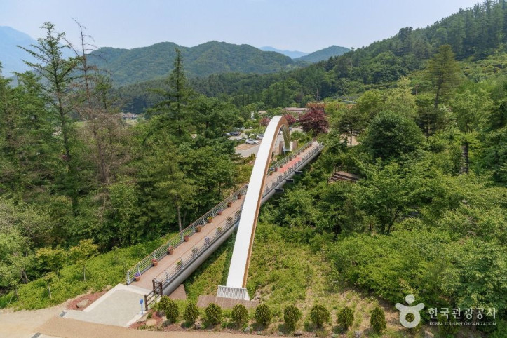 물맑음수목원 여행 추천 - 메고지고