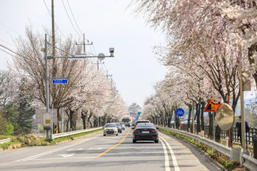 수풀로 삼회리 여행 추천 - 메고지고