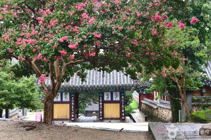 구례 관광특구 여행 추천 - 메고지고
