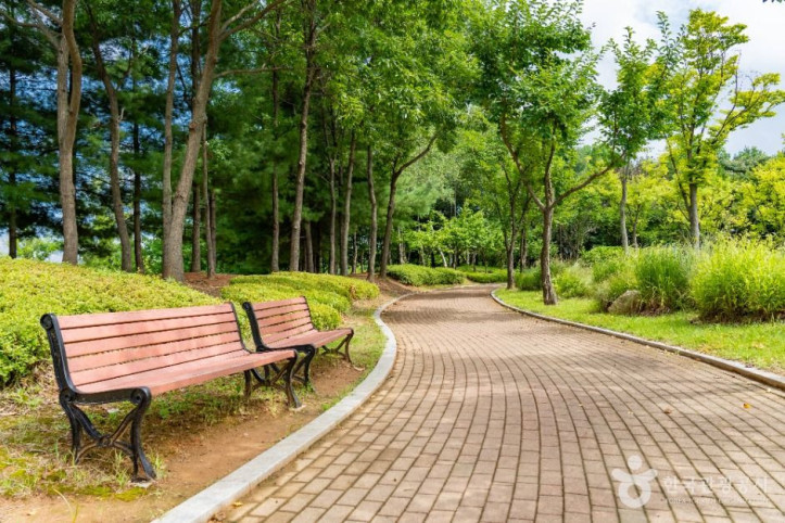 도원체육공원 여행 추천 - 메고지고