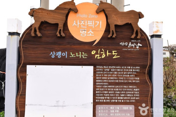 오시아노해수욕장 여행 추천 - 메고지고