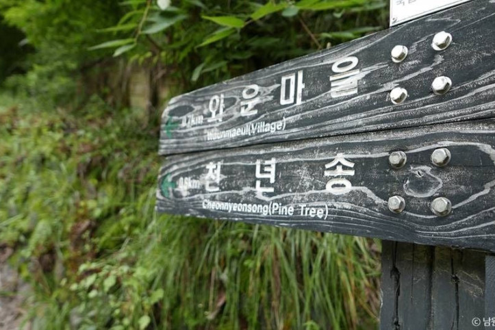 지리산 천년송 여행 추천 - 메고지고