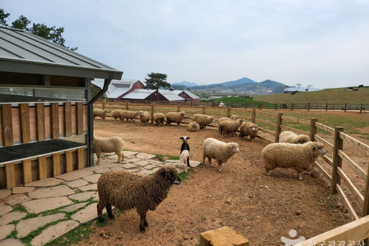 상하농원 여행 추천 - 메고지고