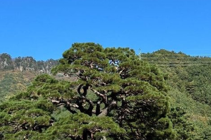 단풍산 여행 추천 - 메고지고