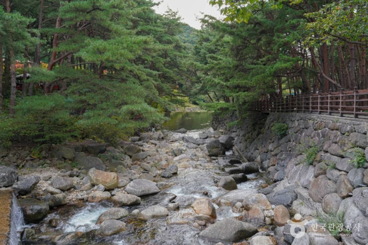 칠연계곡 여행 추천 - 메고지고