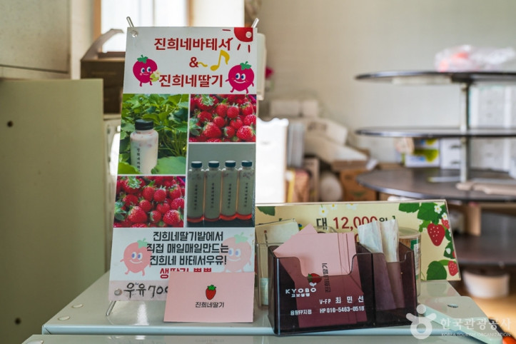 진희네딸기 여행 추천 - 메고지고