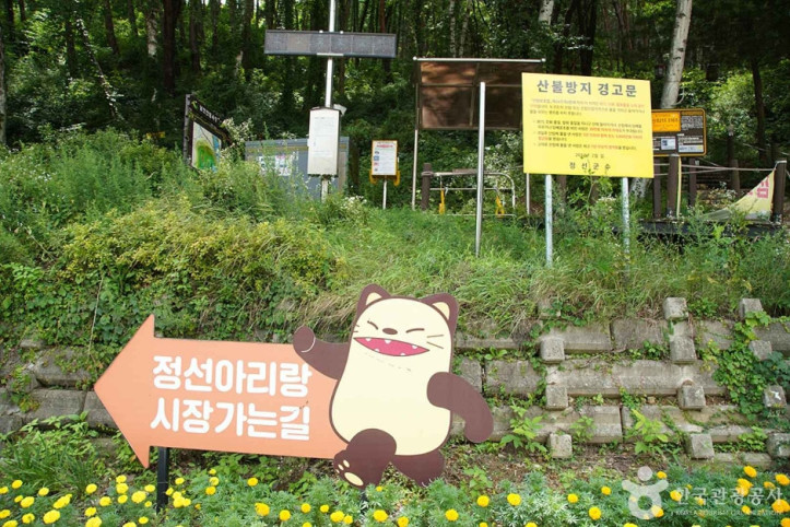 조양산(정선) 여행 추천 - 메고지고