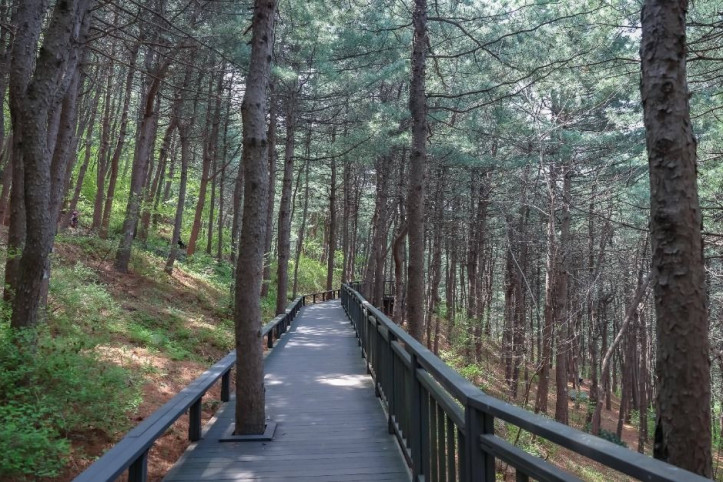 [서울둘레길 12코스] 호암산코스 여행 추천 - 메고지고