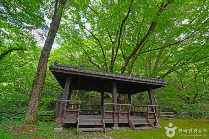 소백산 가리점마을(마조리마을) 여행 추천 - 메고지고