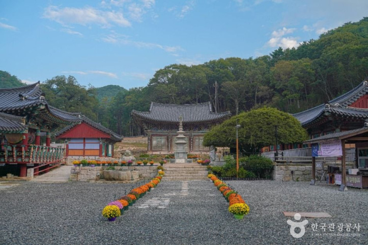 장안사(부산) 여행 추천 - 메고지고