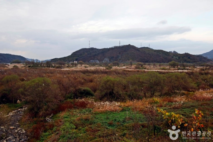봉황경(능암리섬) 여행 추천 - 메고지고