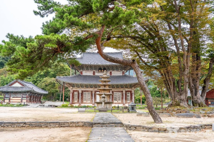 무량사(부여) 여행 추천 - 메고지고