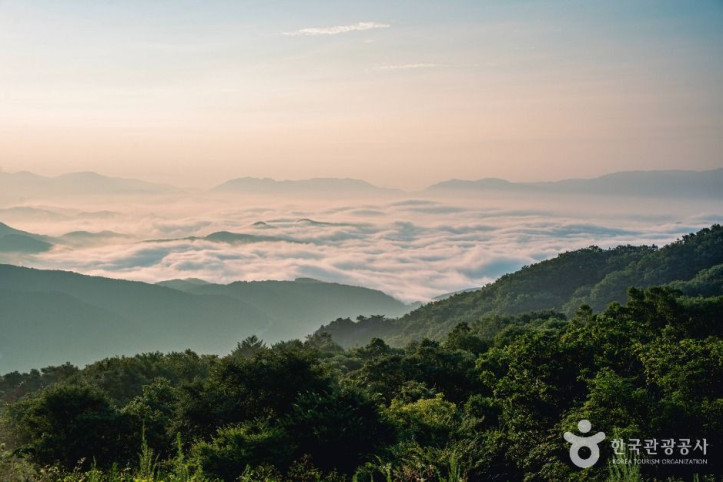 황매산 모산재 여행 추천 - 메고지고