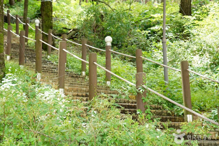 조양산(정선) 여행 추천 - 메고지고