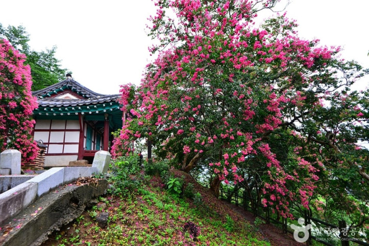 요월정원림 여행 추천 - 메고지고