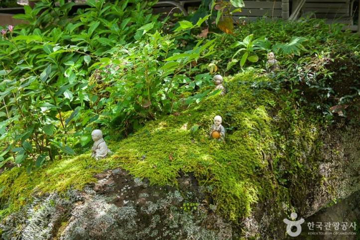 효명사 여행 추천 - 메고지고