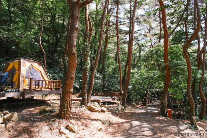 오도산자연휴양림 여행 추천 - 메고지고