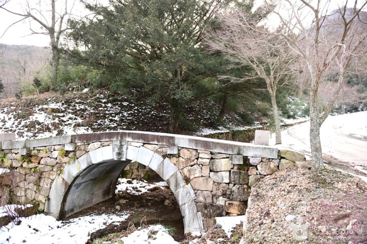 개천사 비자나무숲 여행 추천 - 메고지고