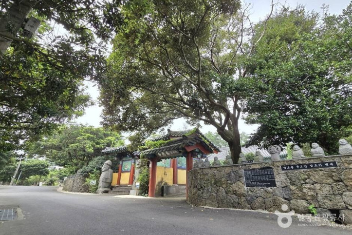 선광사(제주) 여행 추천 - 메고지고