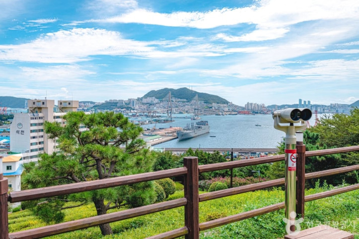 우암동 도시숲 여행 추천 - 메고지고