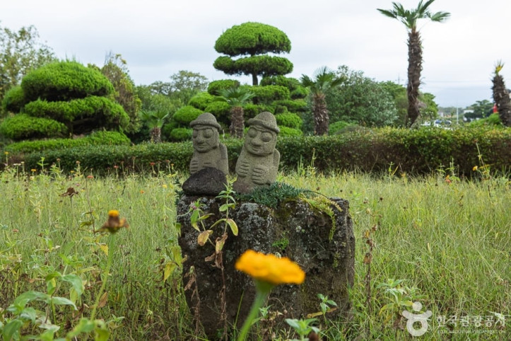 제주 센트럴파크 여행 추천 - 메고지고