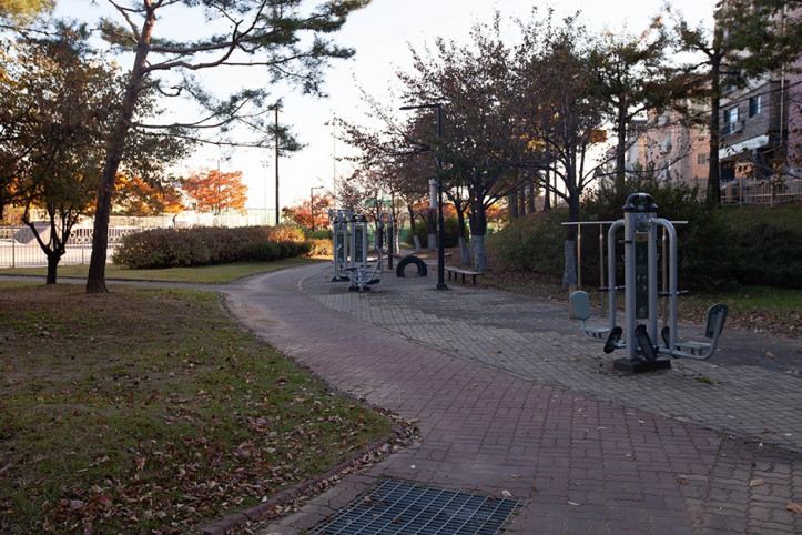 대화동레포츠공원 여행 추천 - 메고지고