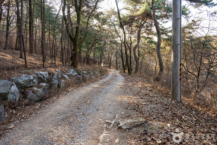 백봉산 여행 추천 - 메고지고