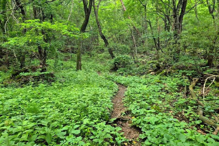 금수산 여행 추천 - 메고지고