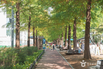 한밭수목원 여행 추천 - 메고지고