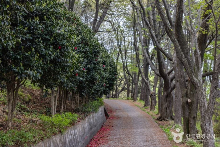 신선대(부산) 여행 추천 - 메고지고