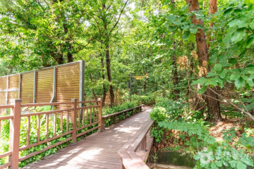 서울 방이동 고분군 여행 추천 - 메고지고