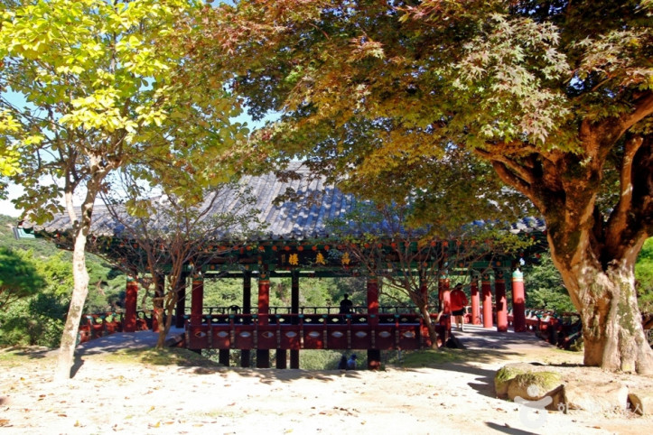 영국사(영동) 여행 추천 - 메고지고