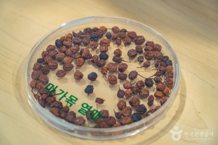 농업기술센터 여행 추천 - 메고지고