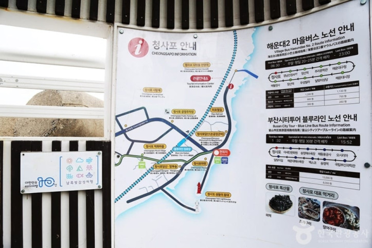 청사포 횟집촌 여행 추천 - 메고지고
