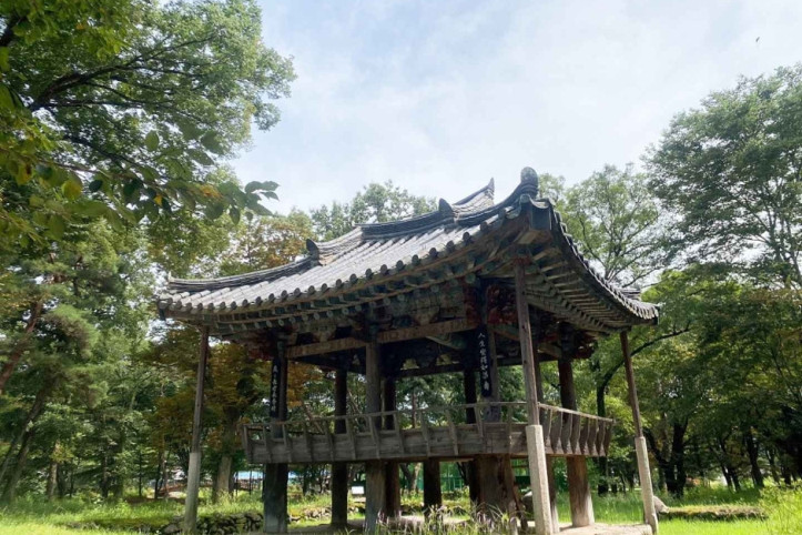 갈계숲 여행 추천 - 메고지고