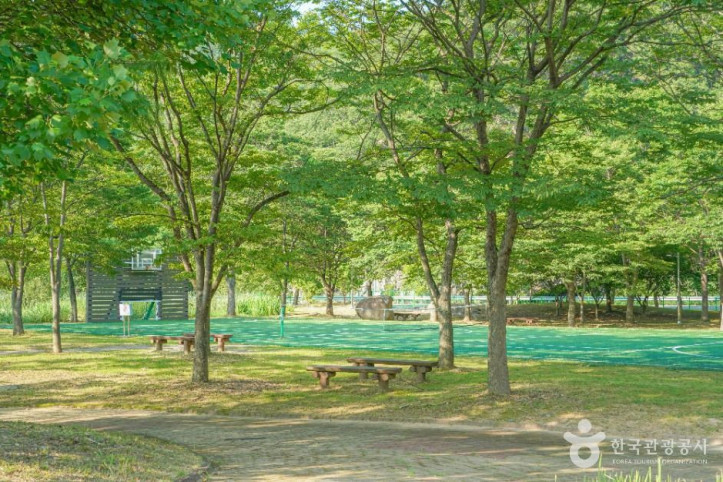 밀양댐 생태공원 여행 추천 - 메고지고
