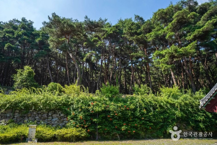 남지장사 여행 추천 - 메고지고