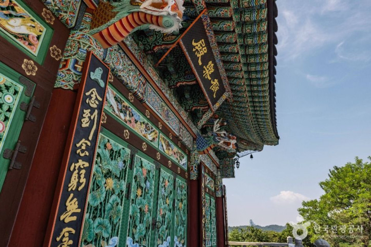 호불사 여행 추천 - 메고지고