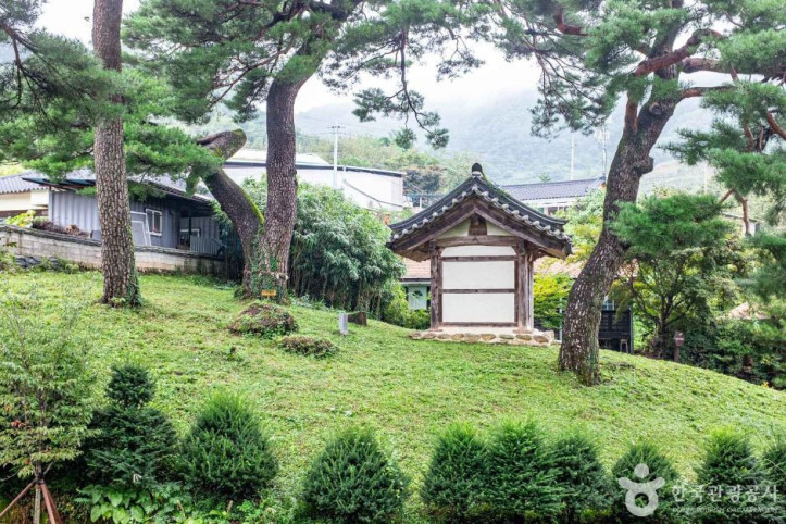 영주 솔향기마을 여행 추천 - 메고지고