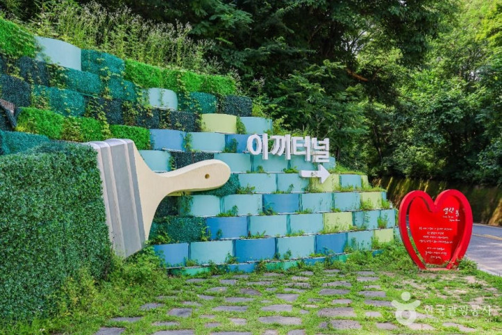 이끼터널 여행 추천 - 메고지고