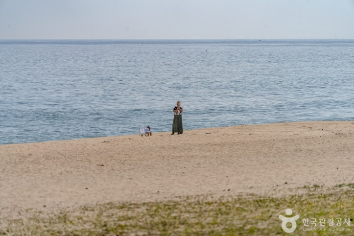 등명해변(등명해수욕장) 여행 추천 - 메고지고