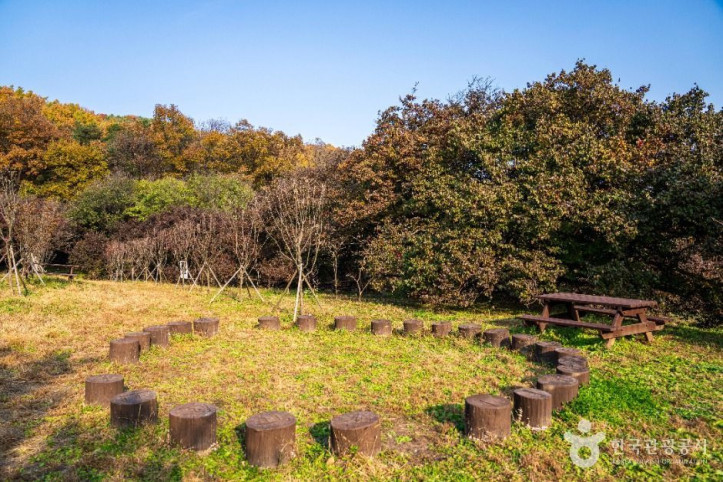 이천 산수유마을 여행 추천 - 메고지고