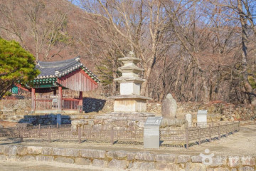 설매재자연휴양림 여행 추천 - 메고지고