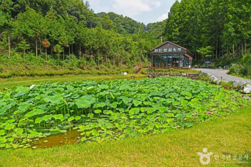 금화서원 여행 추천 - 메고지고