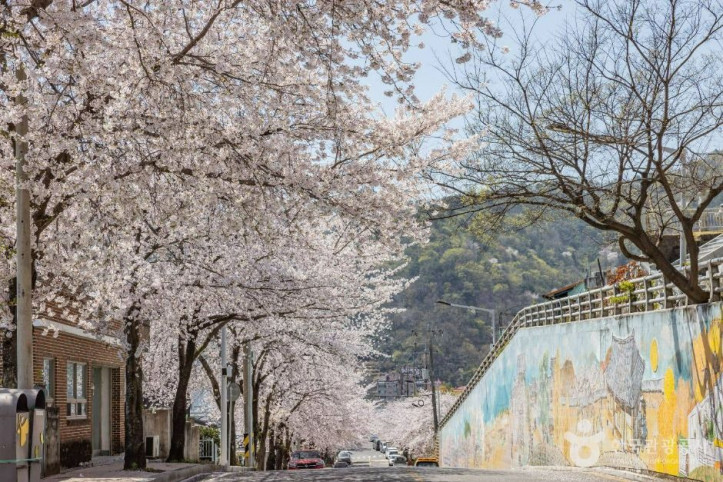 공마당둘레길 여행 추천 - 메고지고