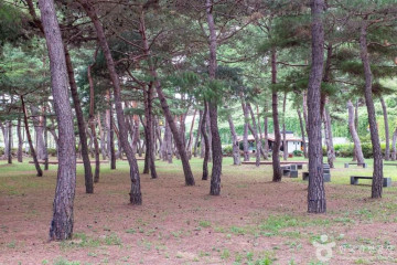 청송 평산신씨 판사공파 종택과 분가 고택 여행 추천 - 메고지고