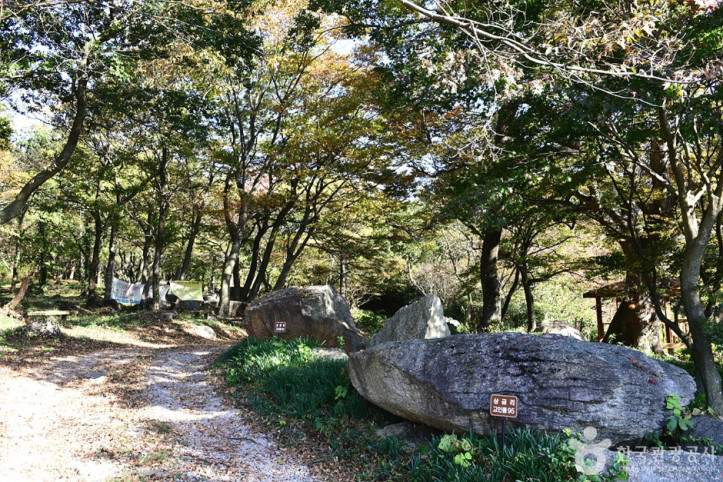 고산 여행 추천 - 메고지고