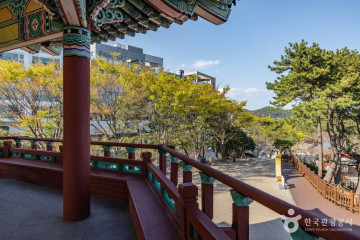 해운대 달맞이길 여행 추천 - 메고지고